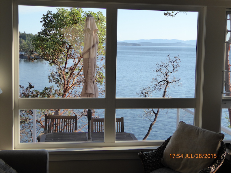 Living Room Window